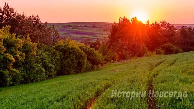 Даша помогла старушке, а в благодарность та сказала всего три слова, которые… смотреть онлайн