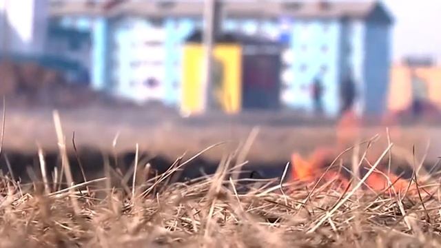 Шарыповцев привлекают к ответственности за разжигание костра смотреть онлайн