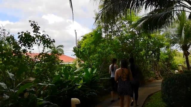 Дома и квартиры в Коста-Рике - как мы ищем жилье.