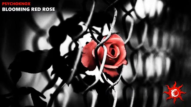 PsYchoKNOX - Blooming Red Rose смотреть онлайн