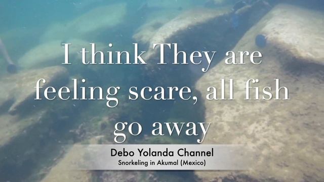 Snorkeling in Akumal - MEXICO - North America with Debo Yolanda смотреть онлайн