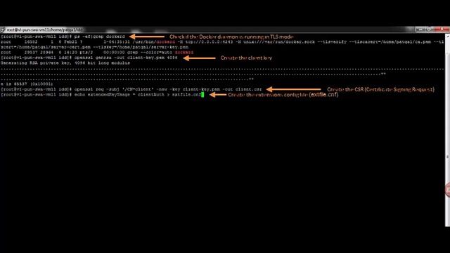 PATROL for Docker: Configuring the Docker KM to monitor a Docker host running in TLS mode смотреть онлайн
