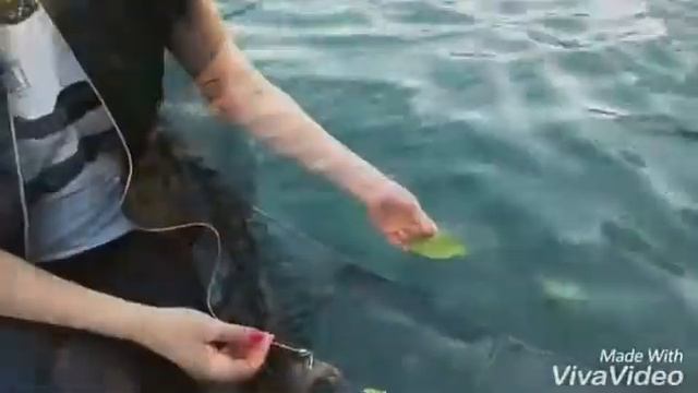 Трогательный стих про осень, любовь смотреть онлайн