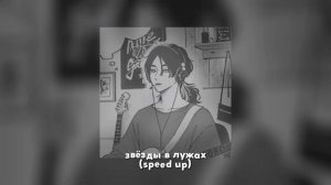 30.02 - звёзды в лужах (speed up)