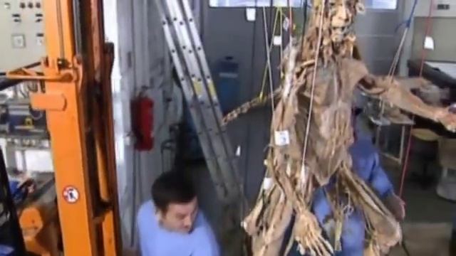 BODY WORLDS - The Plastination Technique