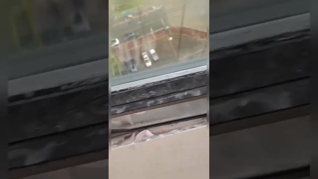 На стройке только профессионалы) смотреть онлайн