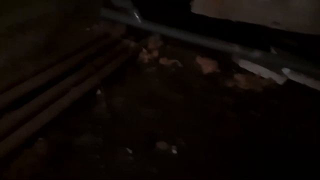 Подвал затоплен. Много лет дом подмывает вода. Собранные с жильцов деньги тратятся не на дом. № 102 смотреть онлайн