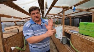 Окрол вне гнезда. Кролиководство учет. Вес кролика. кормление кроликов породы кроликов