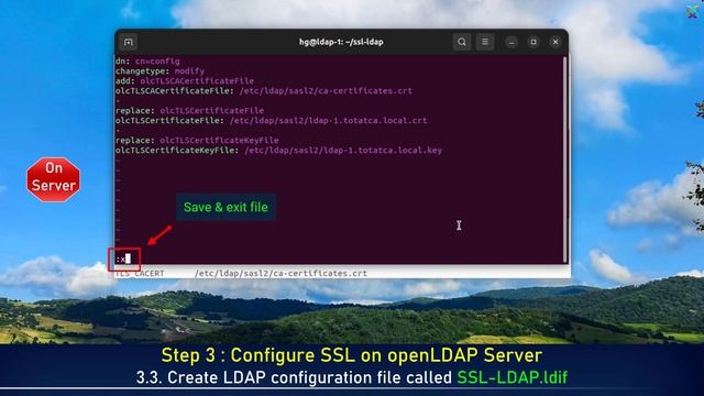 LDAP - How to Configure Secure OpenLDAP Server with SSL/TLS on Ubuntu смотреть онлайн