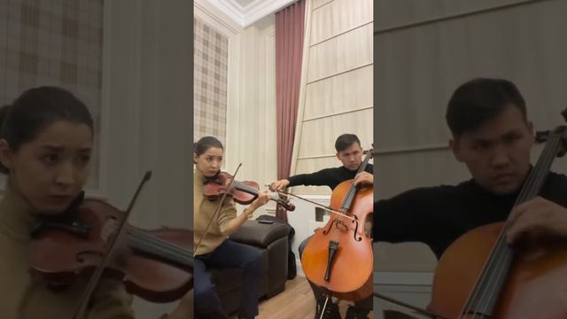 Canon Inverso Ennio Morricone | Violin Cello