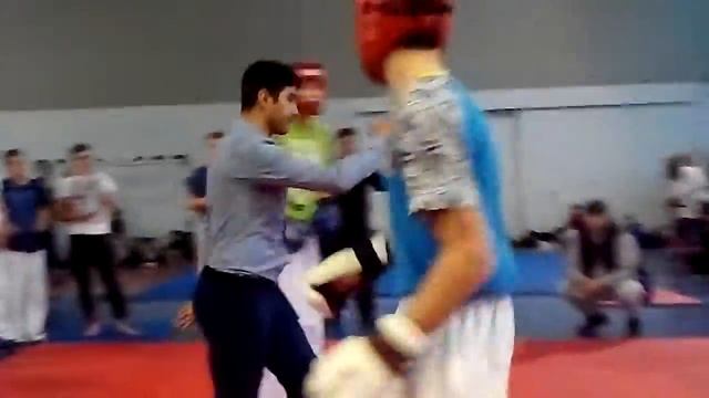 Чемпионат Украины по кикбоксингу март 2016 клуб 