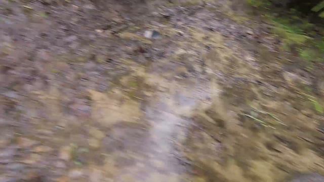 АНОНС РОЛИКА О ПОХОДАХ! Среда, 31 июля, 19:00 - Forest Mountain смотреть онлайн