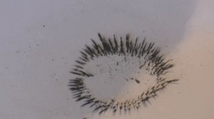 Магнит бумага и опилки