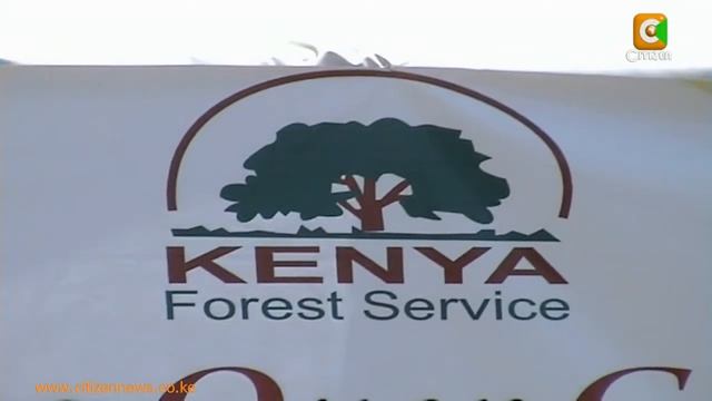Gov’t to allow Burning of Mathenge Tree to Allow Residents Eradicate it in Baringo смотреть онлайн
