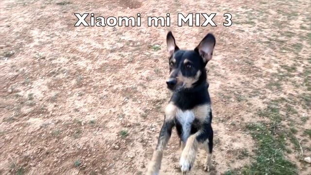 iPhone XS Max VS Xiaomi mi MIX 3 смотреть онлайн