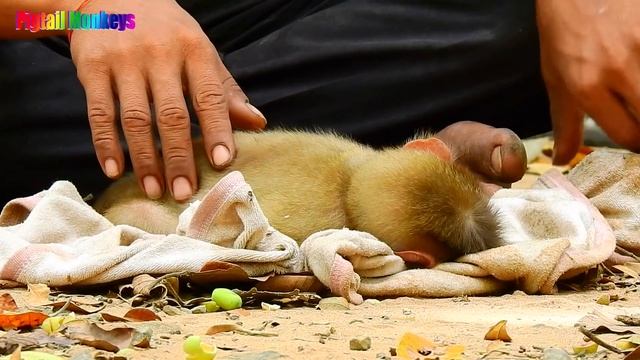 Congratulation Abandoned Baby Sovana Got Take Care By Grandma Brianna During Sleeping Well смотреть онлайн