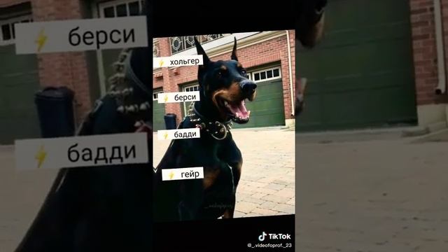 Как назвать добермана (мальчика) смотреть онлайн