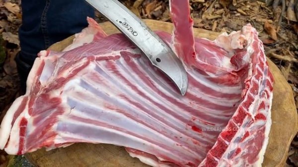 ?EPIC RECIPE FOR LAMB RIBS COOKED IN THE WILD RIGHT ON THE ROCKS!?