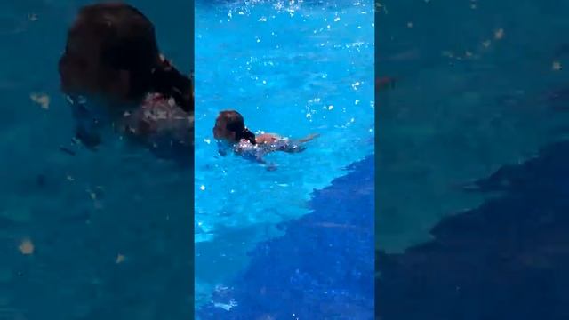 Bodrum Torba Voyage Turkey смотреть онлайн