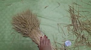 Как сделать букет из пшеницы? Мастер-класс