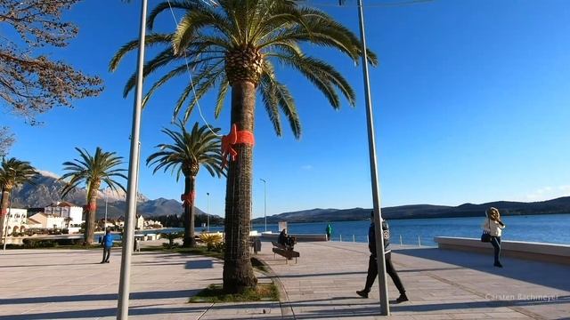 A walk through Montenegro (Kotor, Tivat, Perast) 4K