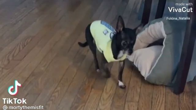 Я люблю свою лошадку смотреть онлайн