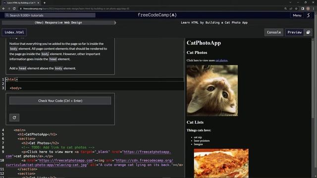 Learn HTML by Building a Cat Photo App - Step 65 смотреть онлайн