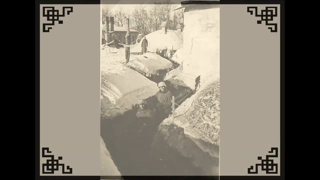 Петергоф в годы оккупации / Peterhof During The Occupation: 1941-1943