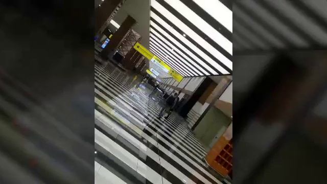 В международном аэропорту Шереметьево/Терминал B и D смотреть онлайн