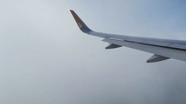 İzmir Adnan Menderes Havalimanı [34R Kalkış] - İstanbul Havalimanı [36 İniş] - Pegasus - A320N смотреть онлайн