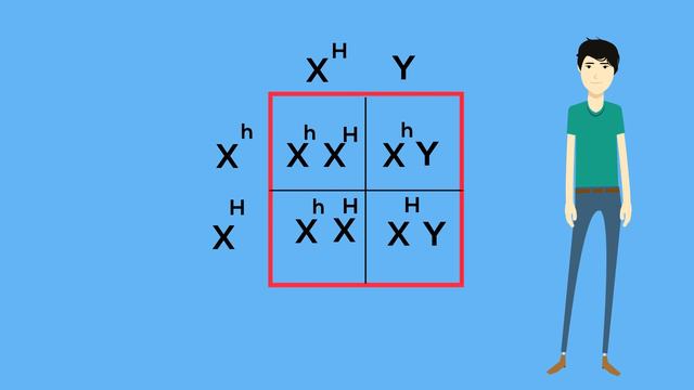 X and Y chromosomes explained смотреть онлайн