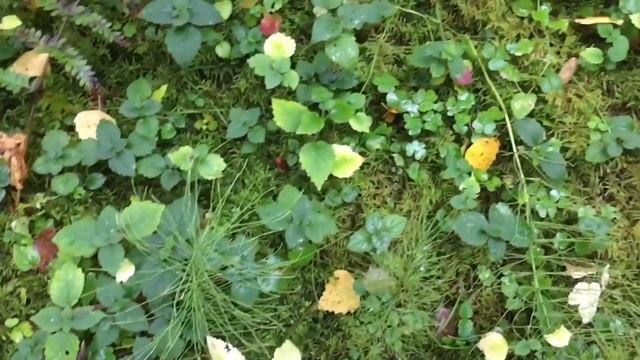 Безвоздушная покраска корабля смотреть онлайн