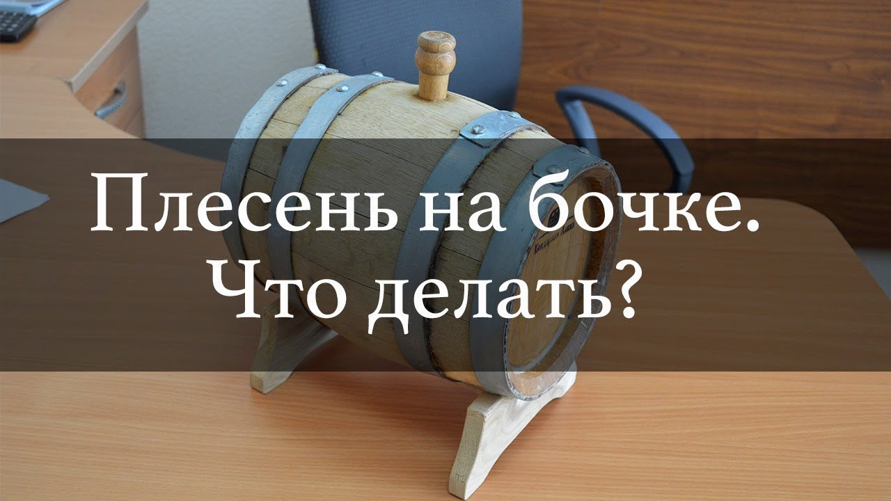 Плесень на дубовой бочке. Что делать?