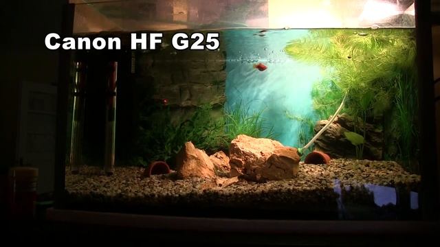 Skuska Canon HF G25 vs Panasonic AG-AC90 смотреть онлайн