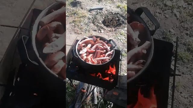 Суп из Опят, (mushroom Soup)