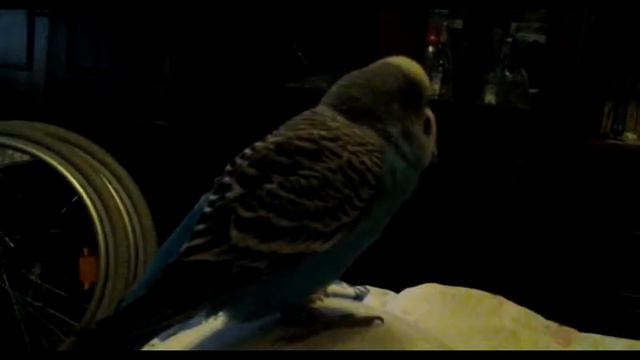 Перед сном Филичка просит спеть колыбельную. смотреть онлайн