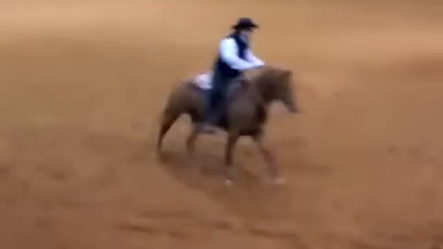 John Horn Brennas Whiz reining horses stone смотреть онлайн