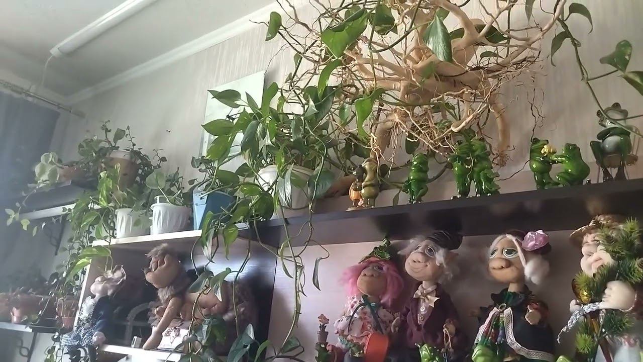 Просто поздороваться. Цветы дома. смотреть онлайн