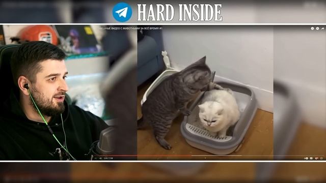 HARD PLAY РЕАКЦИЯ НА САМЫЕ СМЕШНЫЕ ВИДЕО ПРИКОЛЫ ЗА ВСЁ ВРЕМЯ! #8 смотреть онлайн