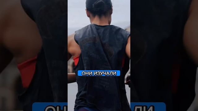 В какой стране живут самые ленивые люди_? смотреть онлайн