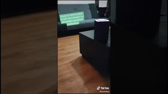 Две Алисы ругаются за Джонни это (робот пылесос) 2часть смотреть онлайн