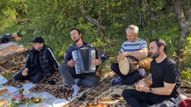 Даргинская песня на природе -Бажни отдыхают смотреть онлайн