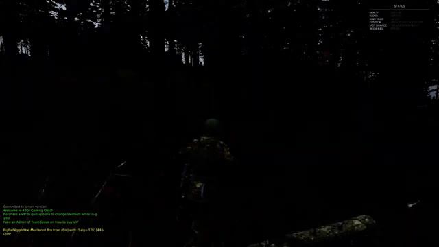 Modded DayZ NWAF PvP Server смотреть онлайн