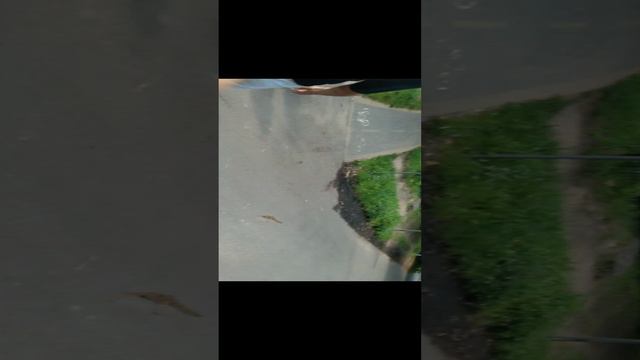 Поход по Светлогорску #1