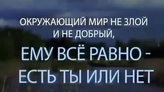 Очень крутое видео 2. Не общайся с дураками смотреть онлайн