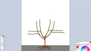 Вертикально лидерная крона. Обрезка черешни чашей. Формирование черешни часть 5.