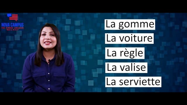 How to use the French articles Le La Les L' (Part 3) (Lesson in Hindi) смотреть онлайн