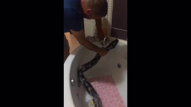 Наше новое не очень домашнее животное‼️‼️‼️