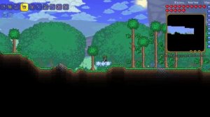 Баг с бесконечной водой в террарии