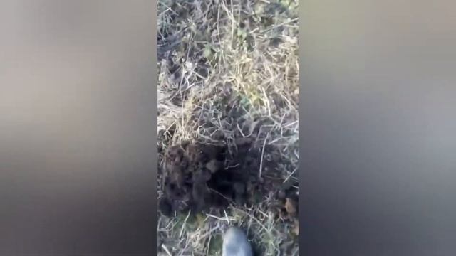 Особенности Национального КОПа в осенний период смотреть онлайн